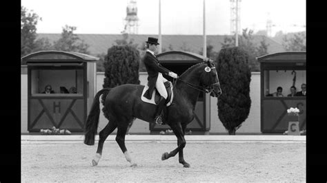 ORGASMUS AUF DEM PFERDESATTEL Pferd tötet Frau